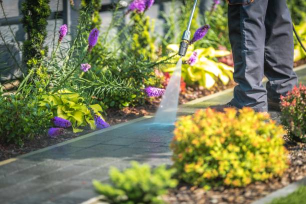 Best Restaurant Pressure Washing  in Iona, FL
